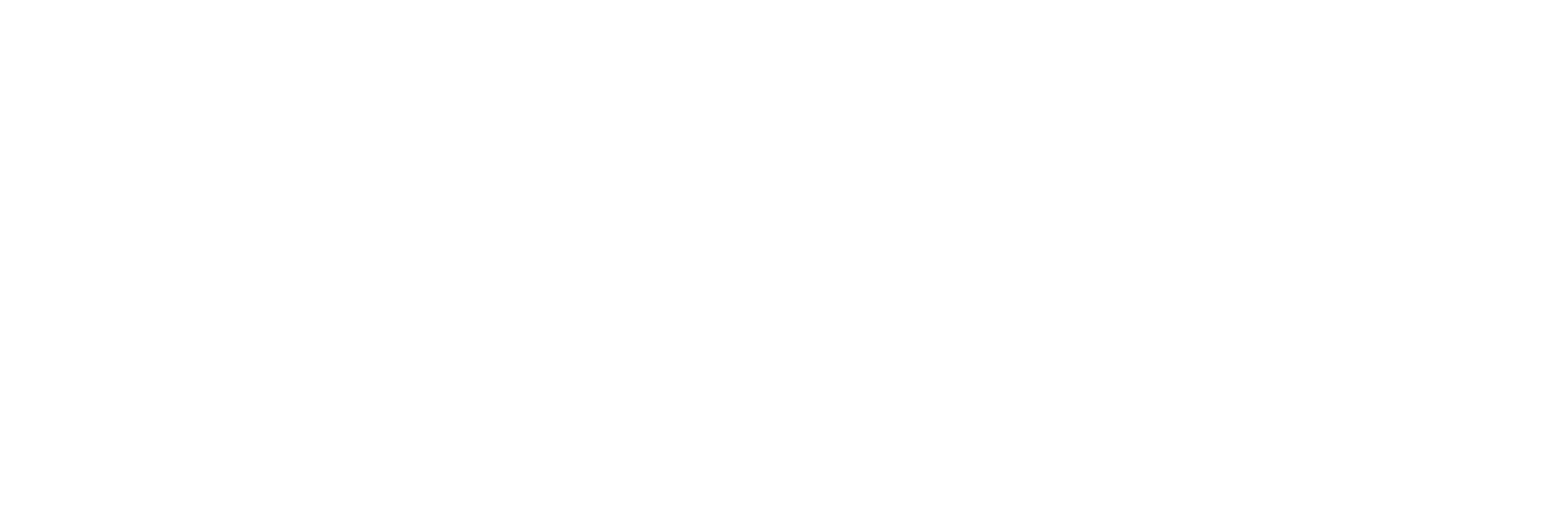 Ono Logo - White Transparent